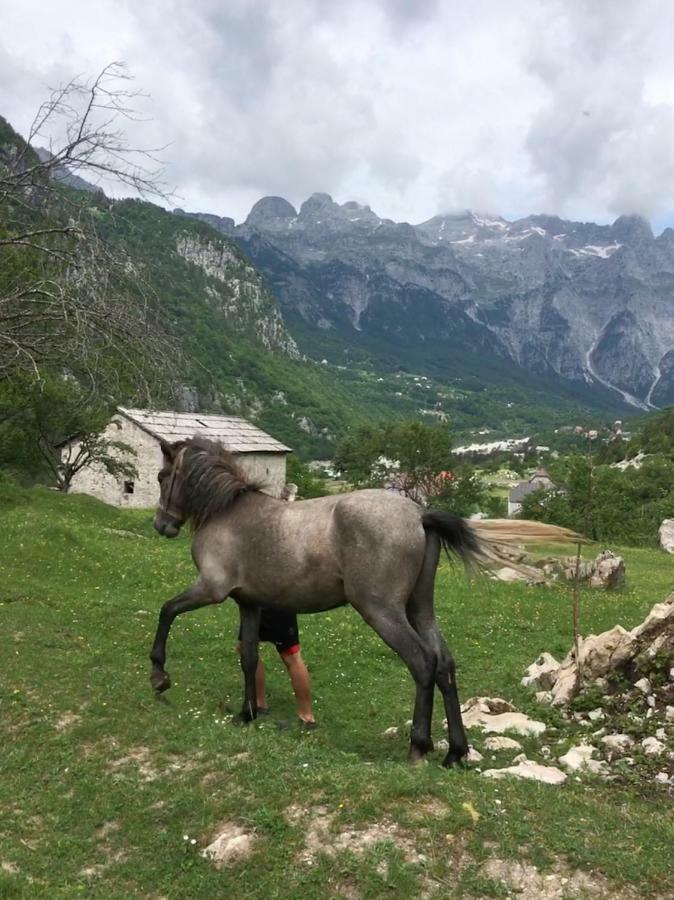 Bujtina Zici Hotell Theth Eksteriør bilde